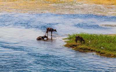 Nile. Ten Countries River Cruise