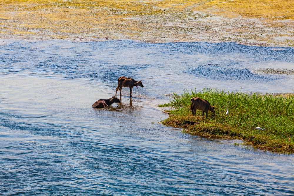 Nile. Ten Countries River Cruise