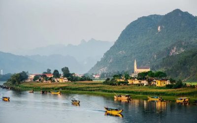 Vietnamese Lumberjacks Protect Their Forests