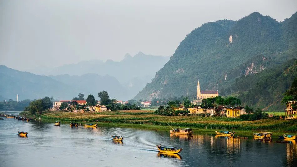 Vietnamese Lumberjacks Protect Their Forests